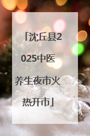 沈丘县2025中医养生夜市火热开市