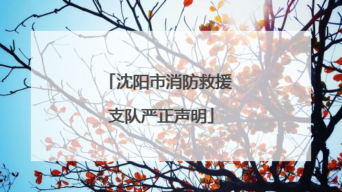 沈阳市消防救援支队严正声明
