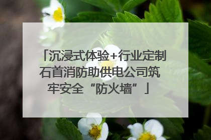 沉浸式体验+行业定制 石首消防助供电公司筑牢安全“防火墙”