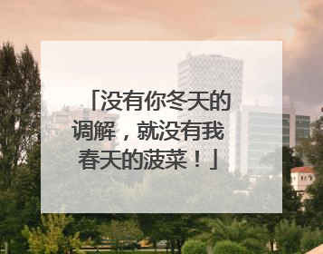 没有你冬天的调解，就没有我春天的菠菜！