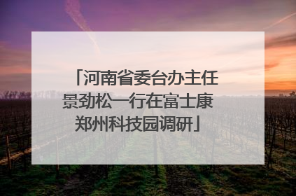 河南省委台办主任景劲松一行在富士康郑州科技园调研