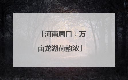 河南周口：万亩龙湖荷韵浓