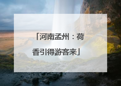 河南孟州：荷香引得游客来