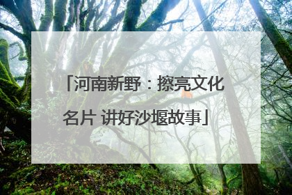 河南新野：擦亮文化名片 讲好沙堰故事