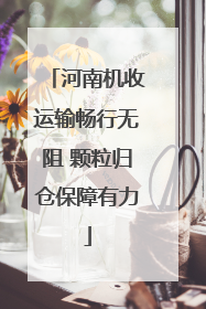 河南机收运输畅行无阻 颗粒归仓保障有力