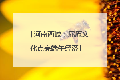 河南西峡：屈原文化点亮端午经济