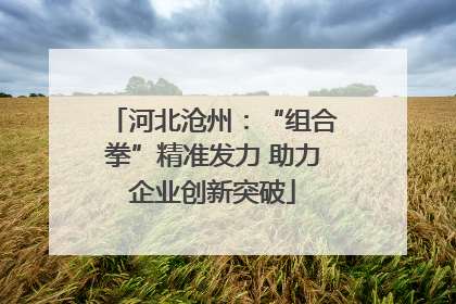 河北沧州：“组合拳”精准发力 助力企业创新突破