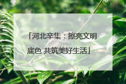 河北辛集:擦亮文明底色 共筑美好生活