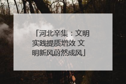 河北辛集：文明实践提质增效 文明新风蔚然成风