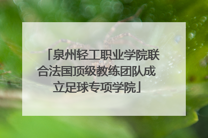 泉州轻工职业学院联合法国顶级教练团队成立足球专项学院