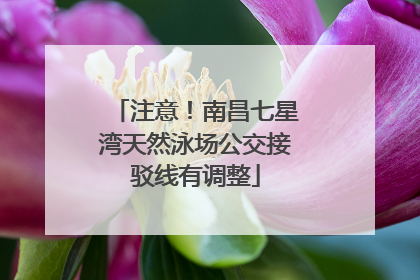 注意！南昌七星湾天然泳场公交接驳线有调整