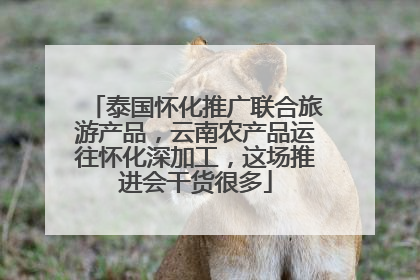 泰国怀化推广联合旅游产品，云南农产品运往怀化深加工，这场推进会干货很多