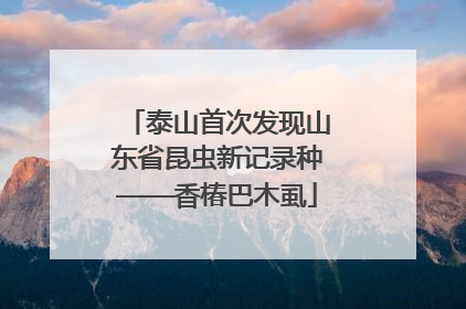 泰山首次发现山东省昆虫新记录种——香椿巴木虱