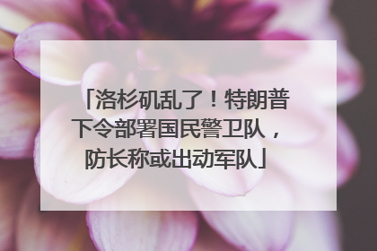 洛杉矶乱了！特朗普下令部署国民警卫队，防长称或出动军队