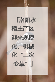 洛阳水稻主产区迎来规模化、机械化“二次变革”