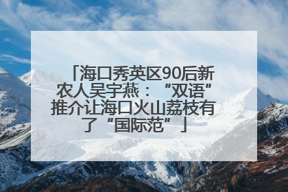 海口秀英区90后新农人吴宇燕：“双语”推介让海口火山荔枝有了“国际范”