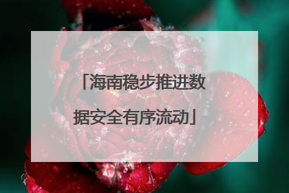 海南稳步推进数据安全有序流动