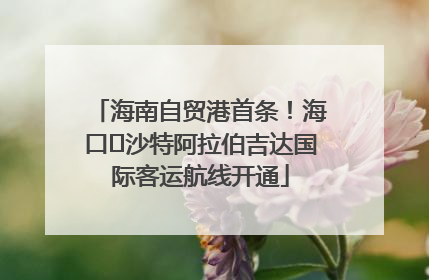 海南自贸港首条！海口⇌沙特阿拉伯吉达国际客运航线开通