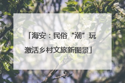 海安：民俗“潮”玩激活乡村文旅新图景