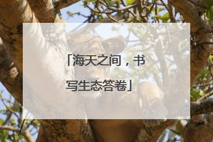 海天之间，书写生态答卷