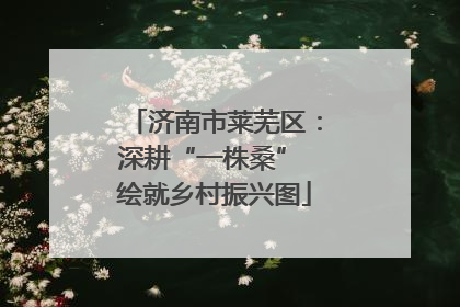济南市莱芜区：深耕“一株桑” 绘就乡村振兴图