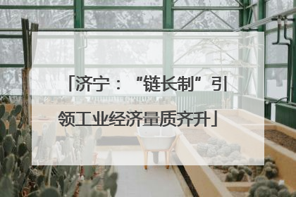 济宁：“链长制”引领工业经济量质齐升