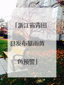 浙江省青田县发布暴雨黄色预警