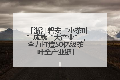 浙江磐安“小茶叶”成就“大产业”，全力打造50亿级茶叶全产业链