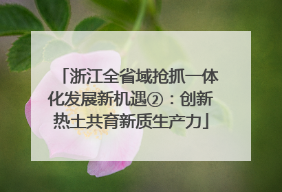 浙江全省域抢抓一体化发展新机遇②：创新热土共育新质生产力