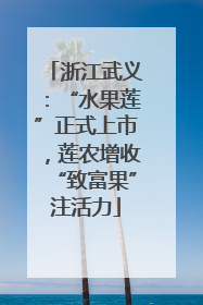 浙江武义：“水果莲”正式上市，莲农增收“致富果”注活力