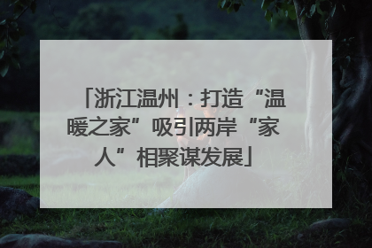 浙江温州：打造“温暖之家”吸引两岸“家人”相聚谋发展