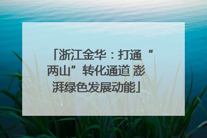 浙江金华：打通“两山”转化通道 澎湃绿色发展动能