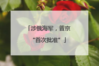 涉俄海军，普京“首次批准”