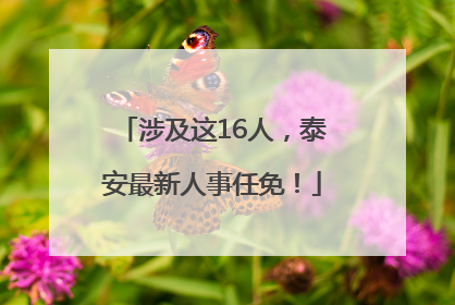涉及这16人，泰安最新人事任免！