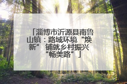 淄博市沂源县南鲁山镇：路域环境“焕新” 铺就乡村振兴“畅美路”