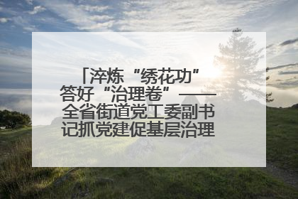 淬炼“绣花功” 答好“治理卷”——全省街道党工委副书记抓党建促基层治理培训示范班侧记