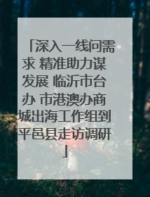 深入一线问需求 精准助力谋发展 临沂市台办 市港澳办商城出海工作组到平邑县走访调研