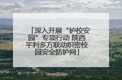 深入开展“护校安园”专项行动 陕西平利多方联动织密校园安全防护网