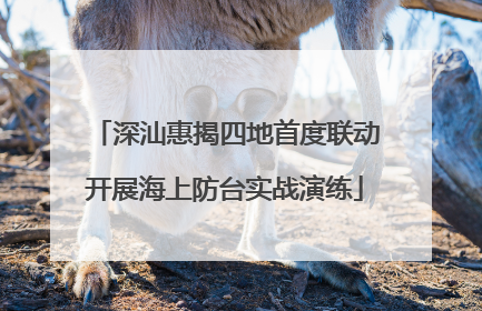 深汕惠揭四地首度联动开展海上防台实战演练