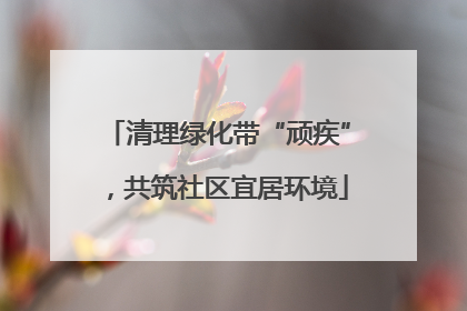 清理绿化带“顽疾”，共筑社区宜居环境