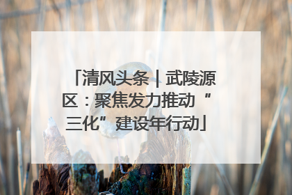 清风头条｜武陵源区：聚焦发力推动“三化”建设年行动