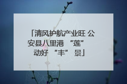 清风护航产业旺 公安县八里港 “莲” 动好 “丰” 景