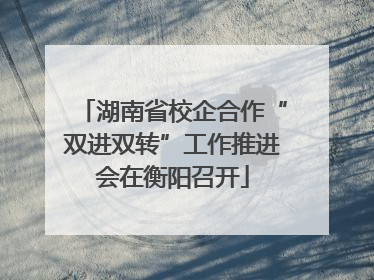 湖南省校企合作“双进双转”工作推进会在衡阳召开
