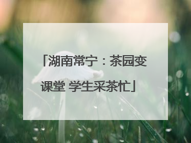 湖南常宁：茶园变课堂 学生采茶忙