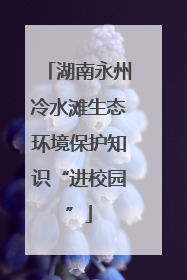 湖南永州冷水滩生态环境保护知识“进校园”