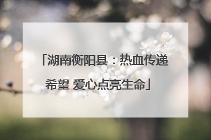 湖南衡阳县：热血传递希望 爱心点亮生命