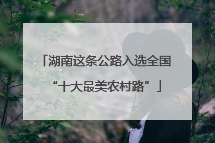 湖南这条公路入选全国“十大最美农村路”