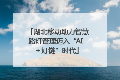 湖北移动助力智慧路灯管理迈入“AI＋灯链”时代