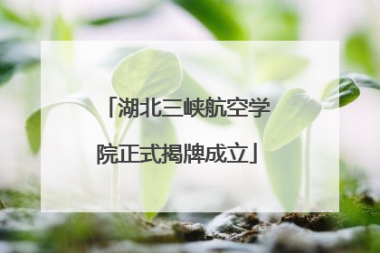 湖北三峡航空学院正式揭牌成立