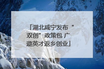 湖北咸宁发布“双创”政策包 广邀英才返乡创业